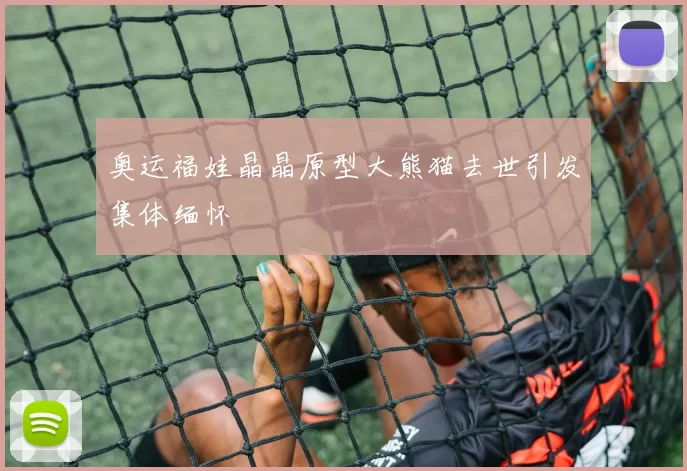 奥运福娃晶晶原型大熊猫去世引发集体缅怀