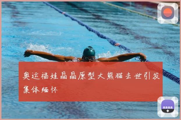 奥运福娃晶晶原型大熊猫去世引发集体缅怀