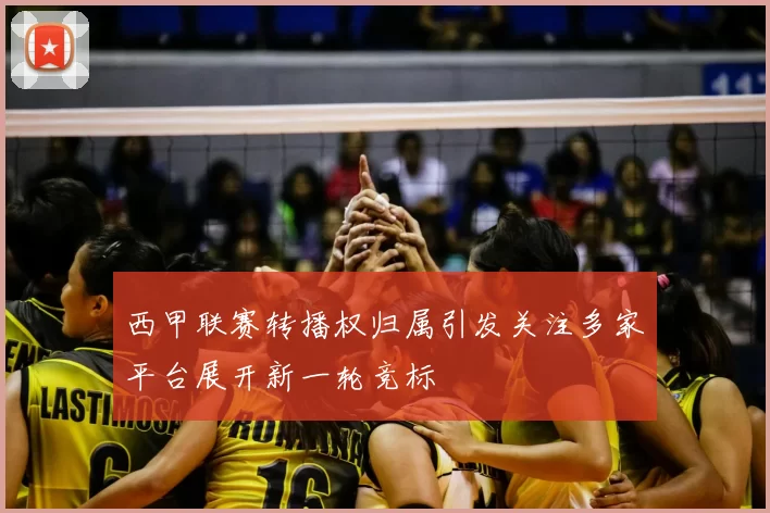 西甲联赛转播权归属引发关注多家平台展开新一轮竞标